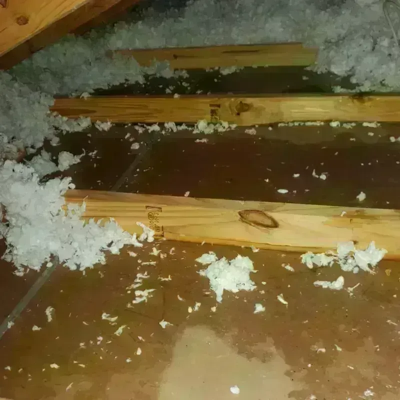 Attic Water Damage in Mattawan, MI