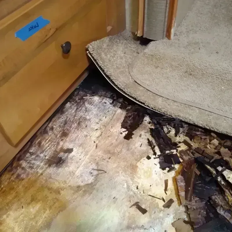 Wood Floor Water Damage in Mattawan, MI